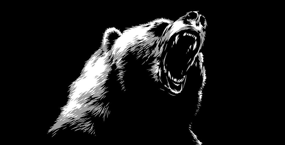 Drawing of howling bear on black background