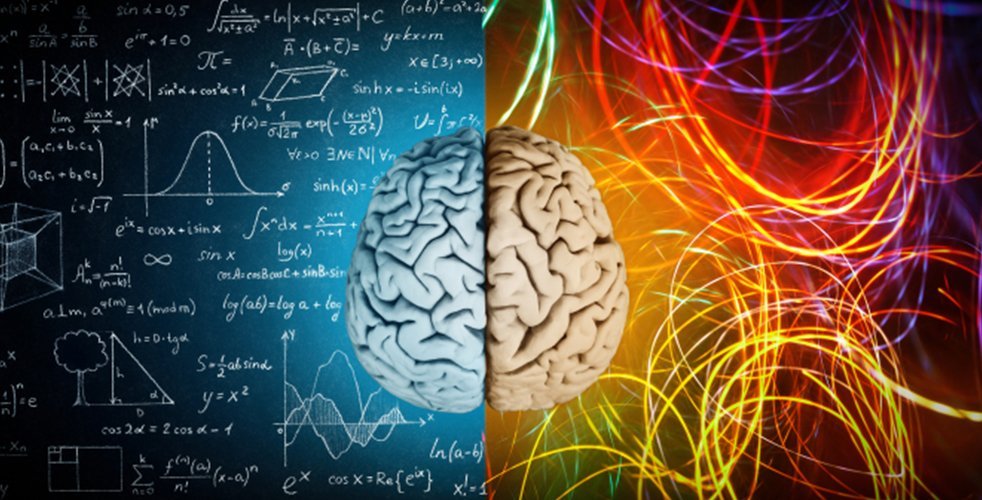 Brain with equations and creativity